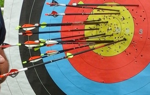 Insolite : Vous avez dit Robin !