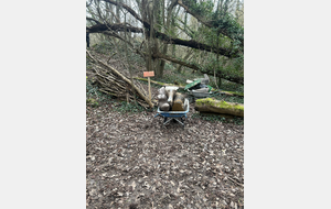 65d1b990ca12a_IMG0195.jpeg