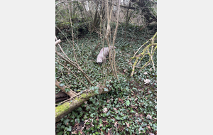 65d1b994d50fa_IMG0196.jpeg